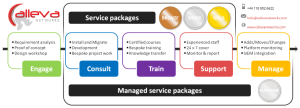 Calleva Networks services offerings for infoblox dns dhcp ipam - engage consult develop train support managed service