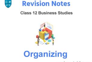 Organizing Class 12 Business Studies